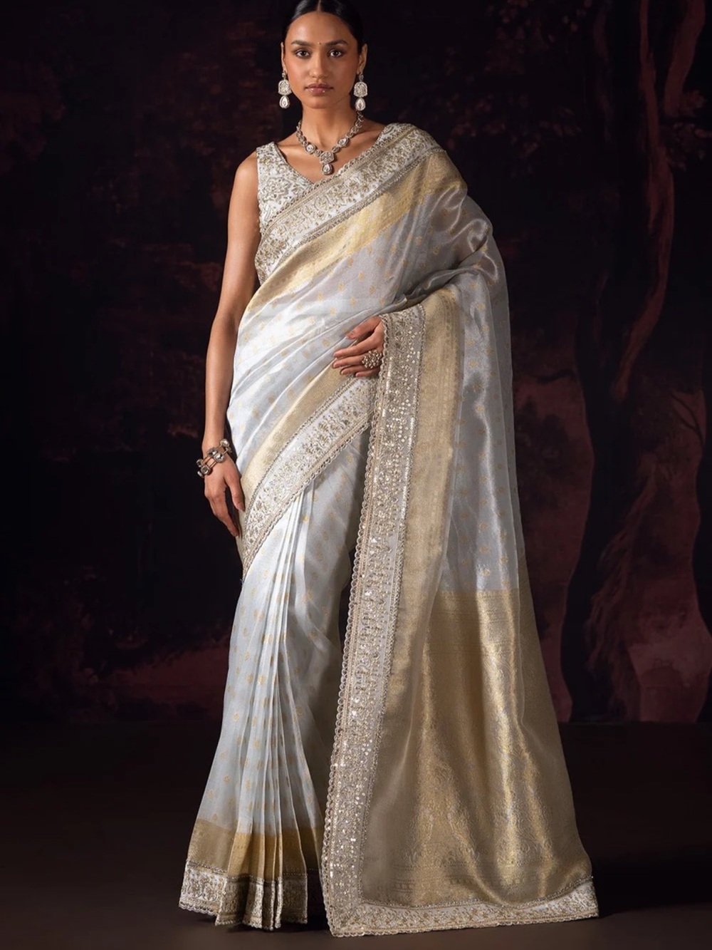 Silver And Gold Embroidered Tissue Saree